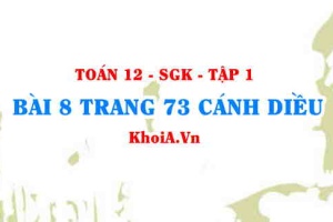 Bài 8 trang 73 Toán 12 tập 1 Cánh Diều